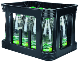 Bad Brambacher Naturell Apfel 20x0,5l